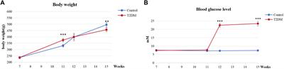 Evaluate the effects of low-intensity pulsed ultrasound on dental implant osseointegration under type II diabetes